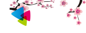 八路中文网